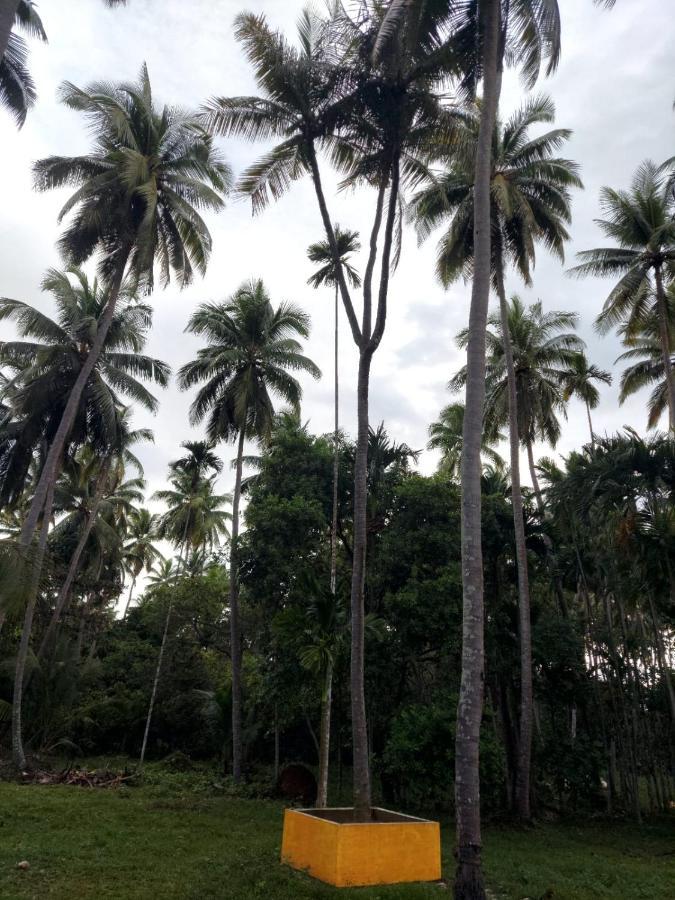 Adhvasaha Beach Spa Resort Port Blair Buitenkant foto