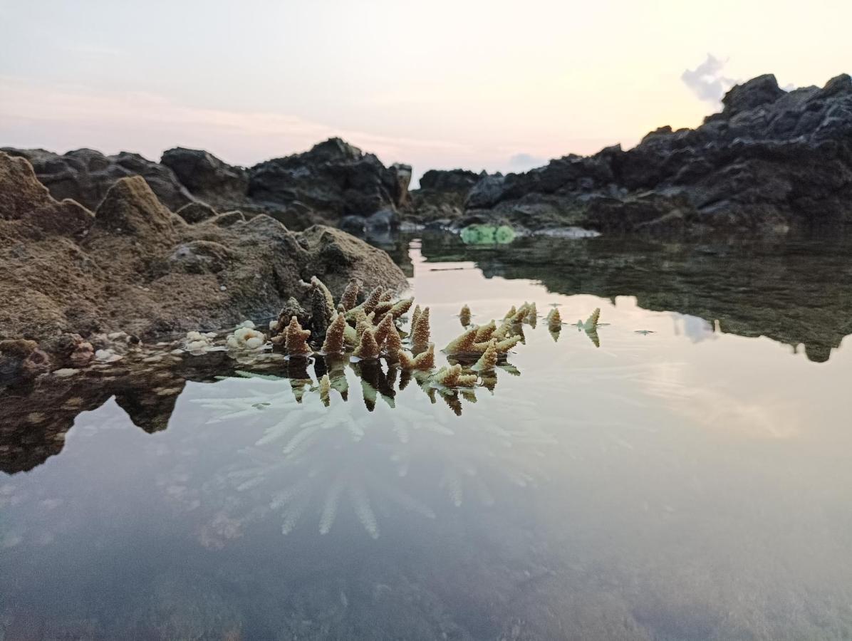 Adhvasaha Beach Spa Resort Port Blair Buitenkant foto